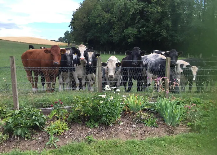 B&B only: Retreat At The Knowe Auchincruive Estate