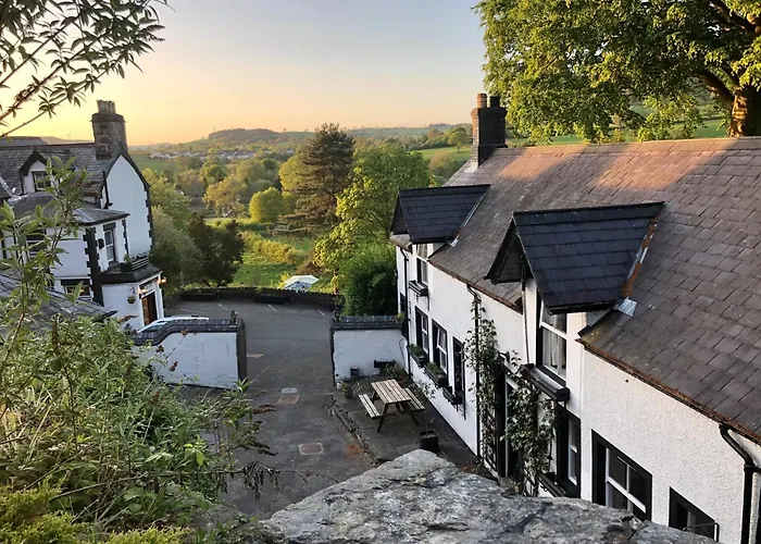 Bron-Y-Graig