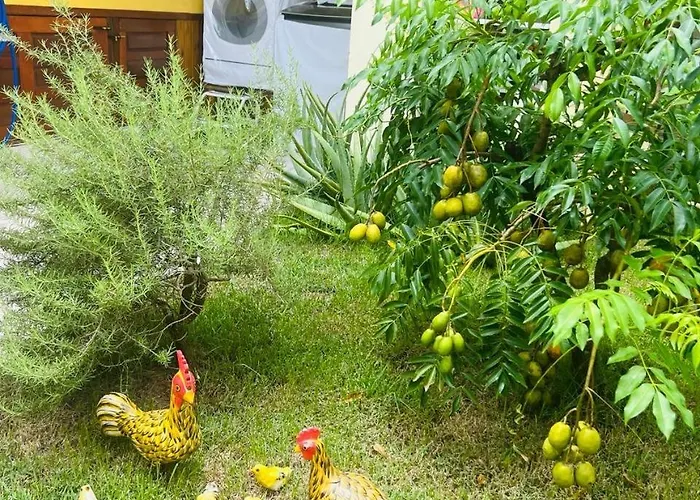 Casa com Piscina