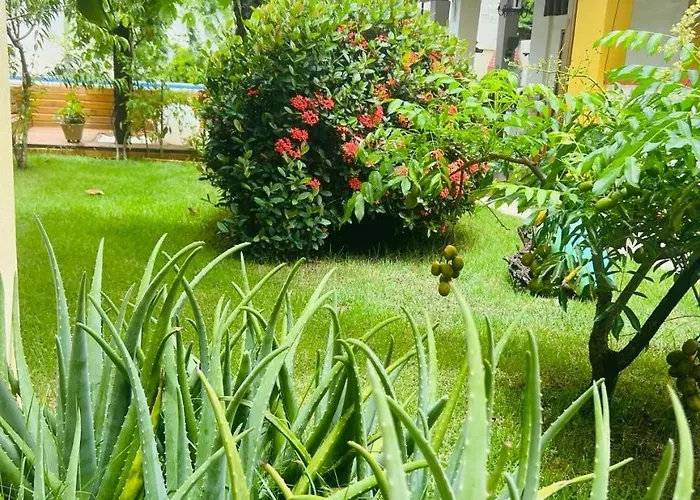 Casa com Piscina
