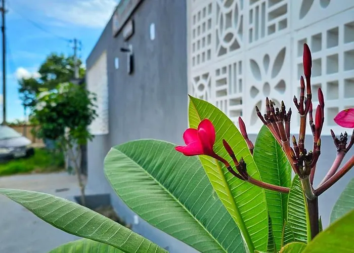Pássaros do Cerrado Suítes