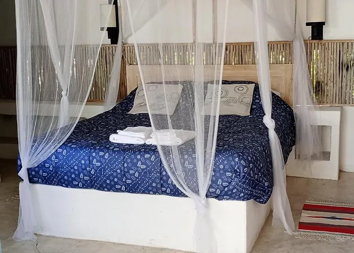 Habitación payesa en el bosque, La Barra