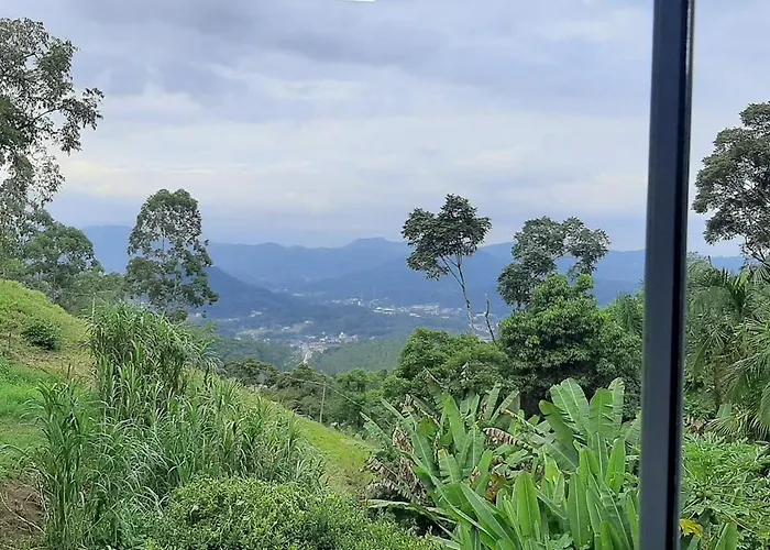 Sitio Hoffmann
