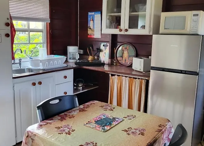 Dolphin Inn Guesthouse & Apartments