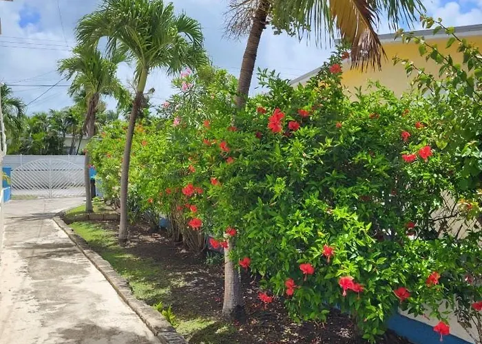 Dolphin Inn Guesthouse & Apartments