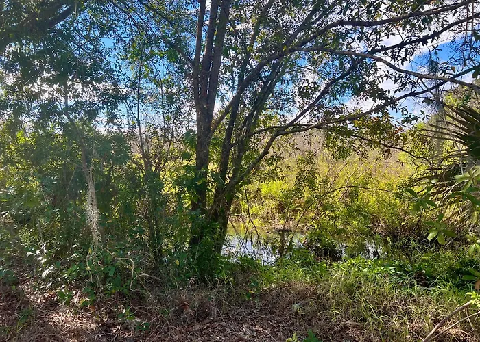 The Lake Alfred Citruswood Cabin