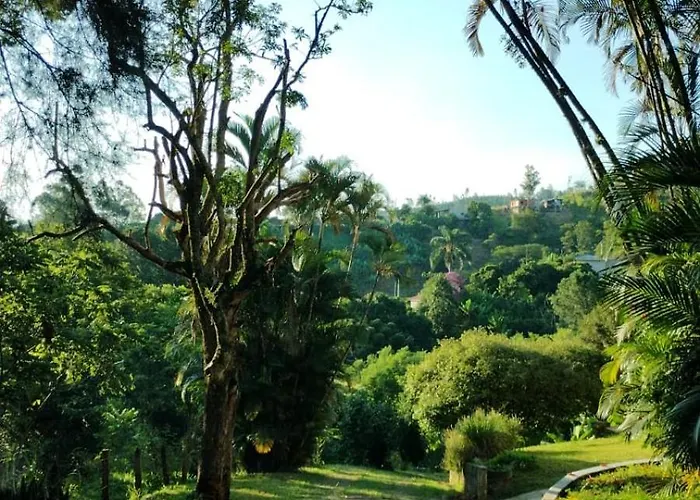 Campo dos Sonhos