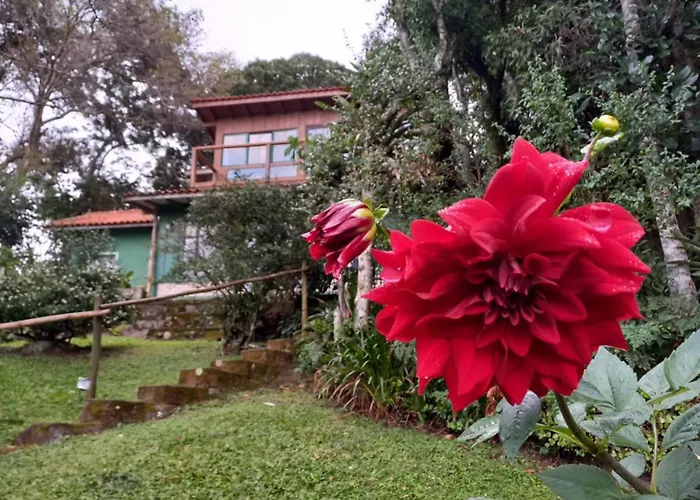 Casa Com Linda Vista Da Praia Do Rosa, Aluguel Casa Inteira