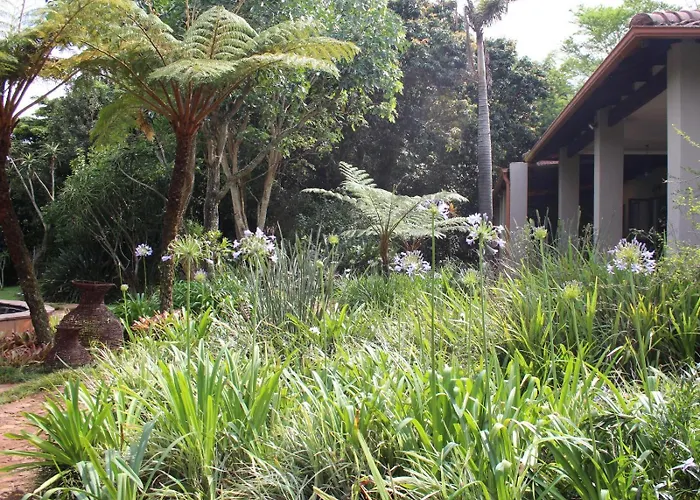 Ambience Inn