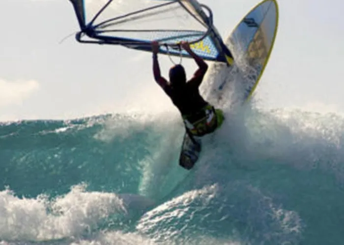 Pgs -Surf, Work, Relax