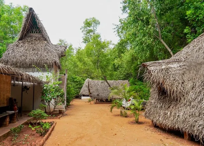 Nebula Nest Cafe & Hostel