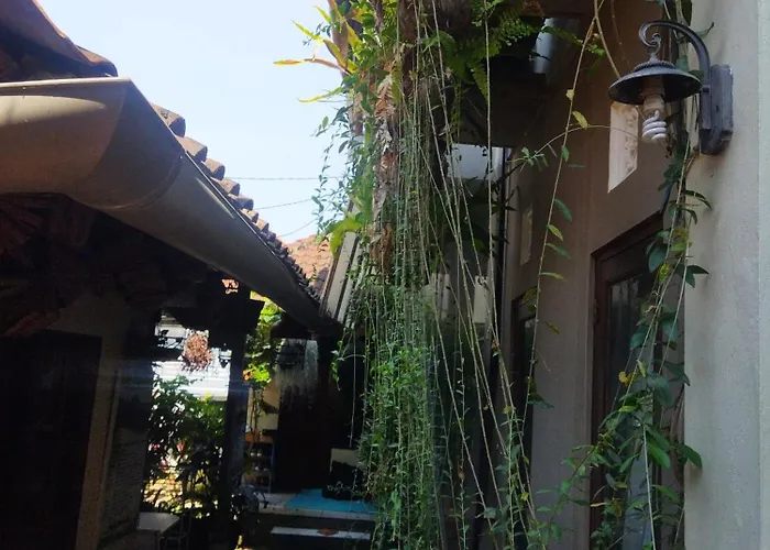 Wahwik'S House