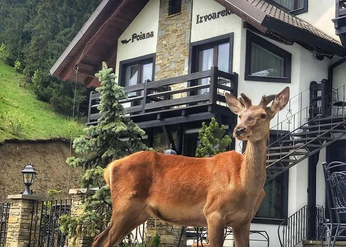 Pensiunea Poiana Izvoarelor