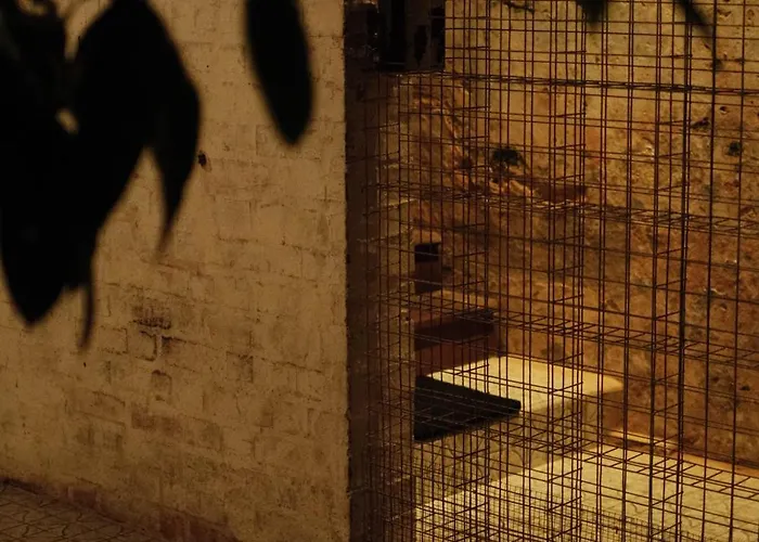 Frenz Republic - Self Check In