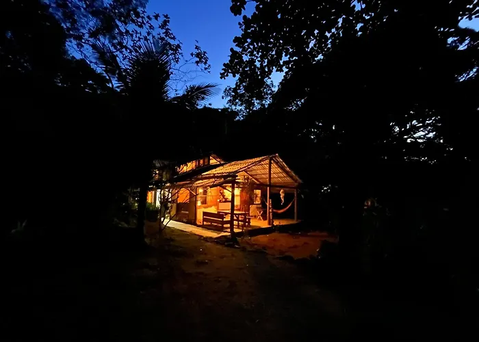 Jungle Lodge
