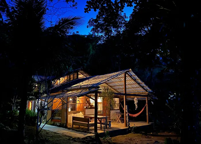 Jungle Lodge