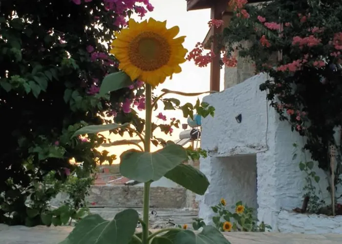 Guenesli Tepe Datca