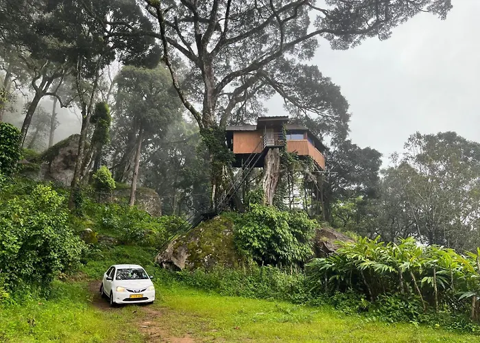 Campsite: Tree House Munnar