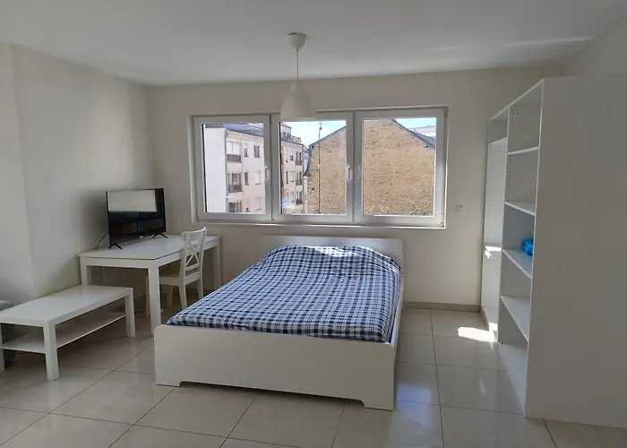 Elegant Spacious Room, Steps From Luxembourg Train Station