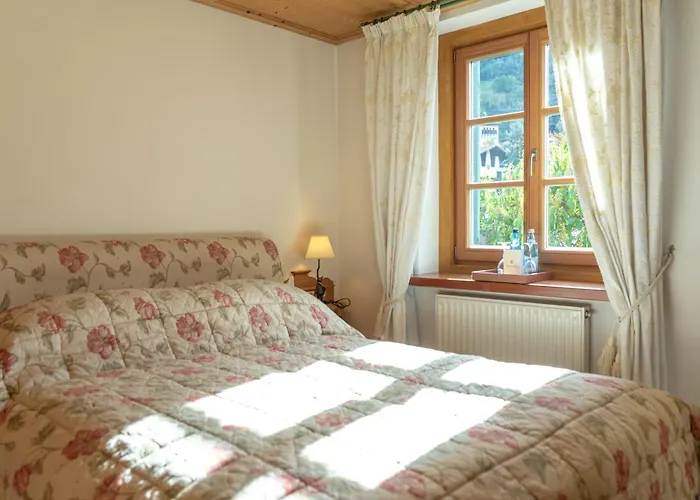 Hotel adatto agli animali: Schlosswirt Forst