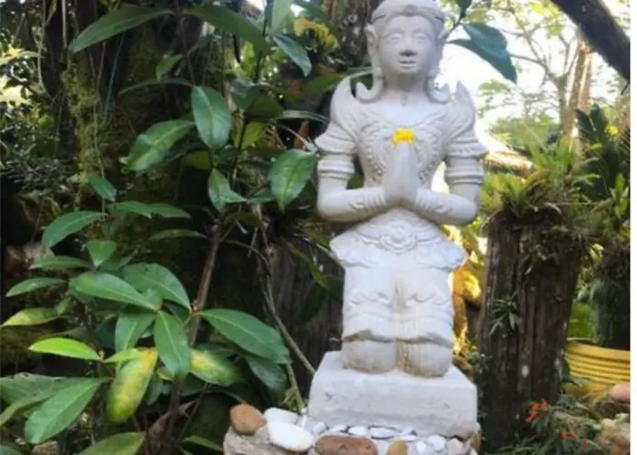 Suites Cambury