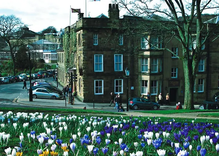 Golf hotel: Old Hall Hotel
