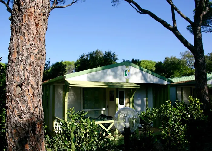 Hotel vicino al College: Camping Maremma Sans Souci