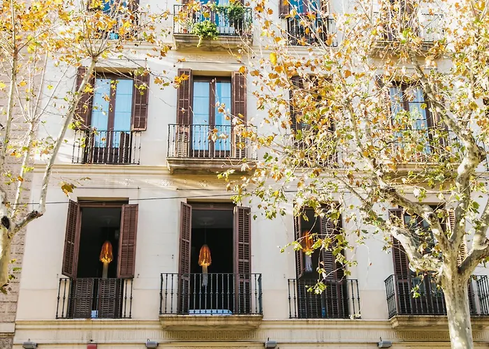 Zoorooms Boutique Guesthouse