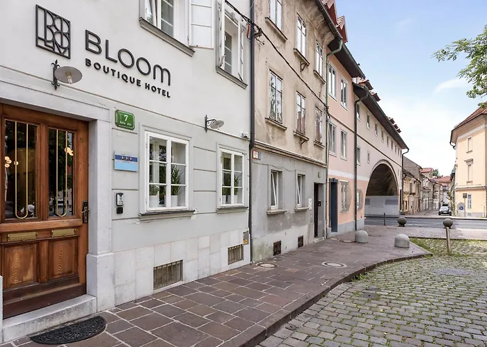 Bloom