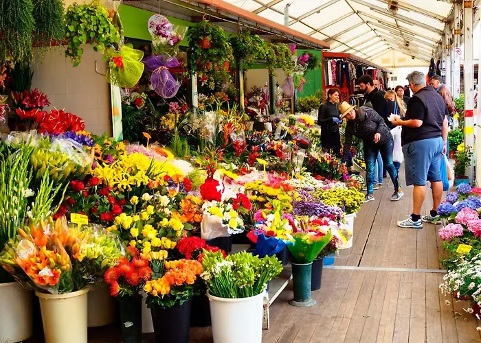 Patio Hostel (Adults Only)