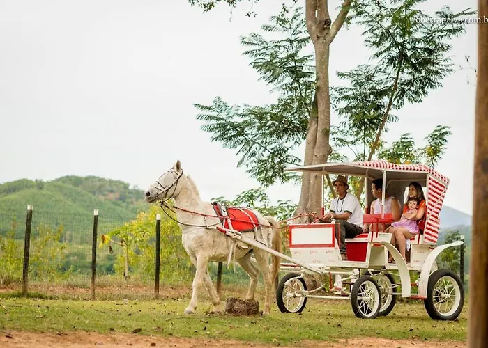 Village dos Pássaros