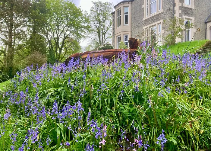 Above & Beyond At Warriston Lodge