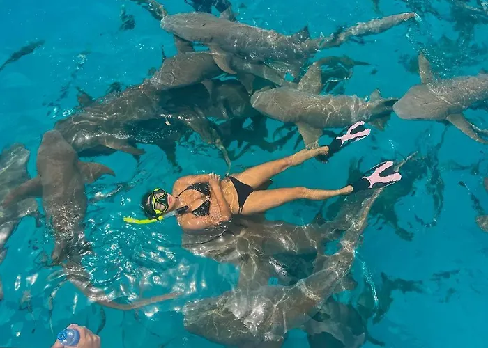 Chambao Maldives