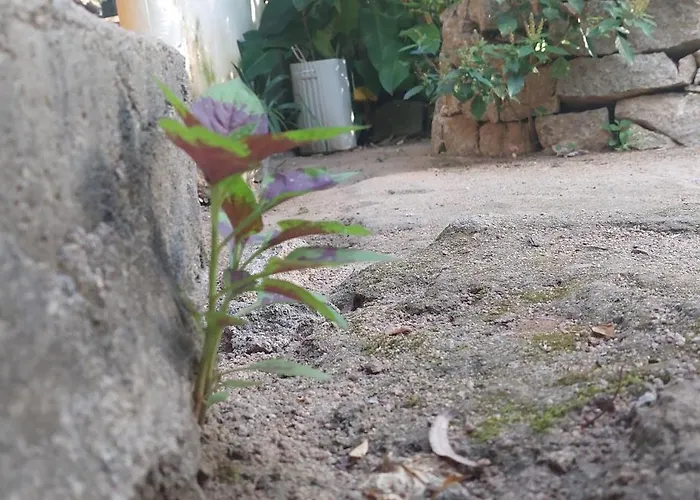 Pousada com chalés na serra da Meruoca