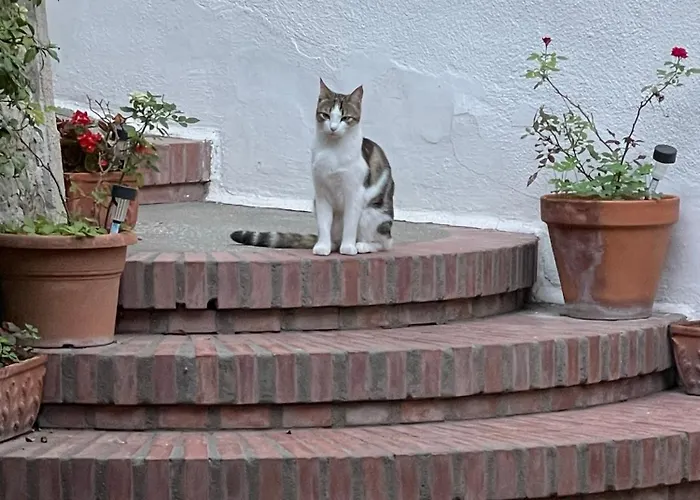 Hotel com vista: La Musa