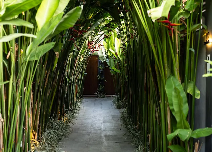 Clifton Canggu