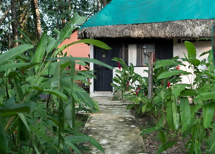 Hotel que admite mascotas: Hotel Cabañas Safari