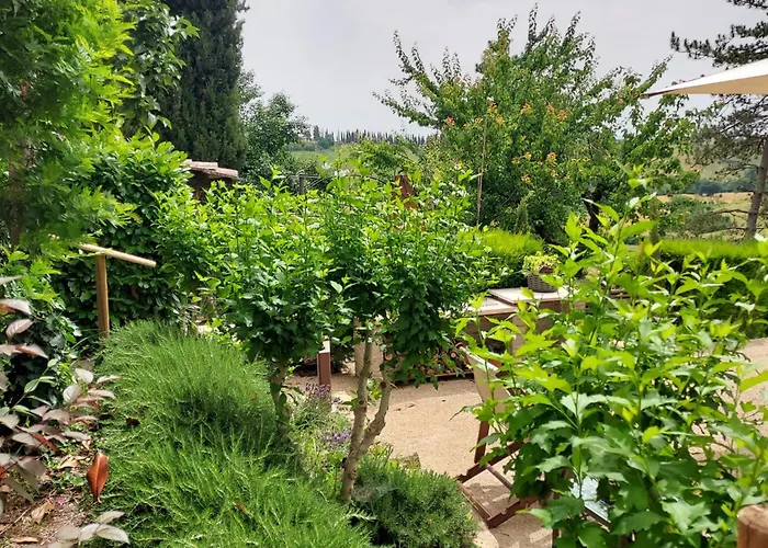 Casa vacanza: Agriturismo Il Colle