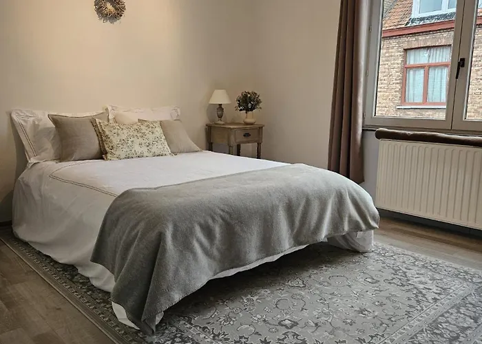 Die Scone Guestroom - Private House Experience In Central Bruges