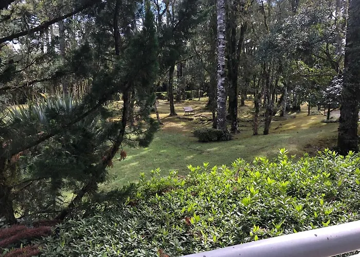 Aluguéis de temporada: Flat Luxo Mountain Village