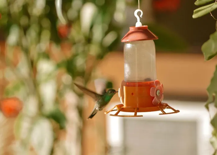 Calmaria Suites Buzios