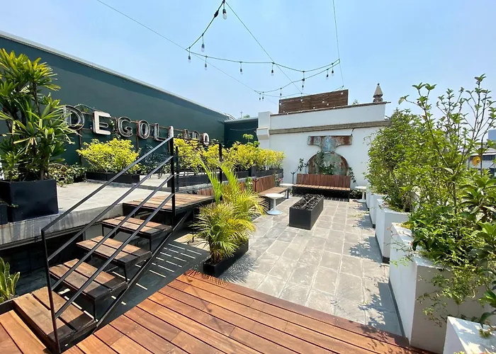 Resort: Pug Seal Polanco Anatole France