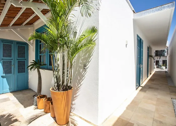 Casa Organic Cumbuco - Pedro Viana