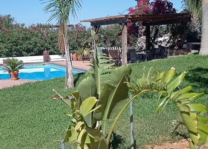 La Luciérnaga