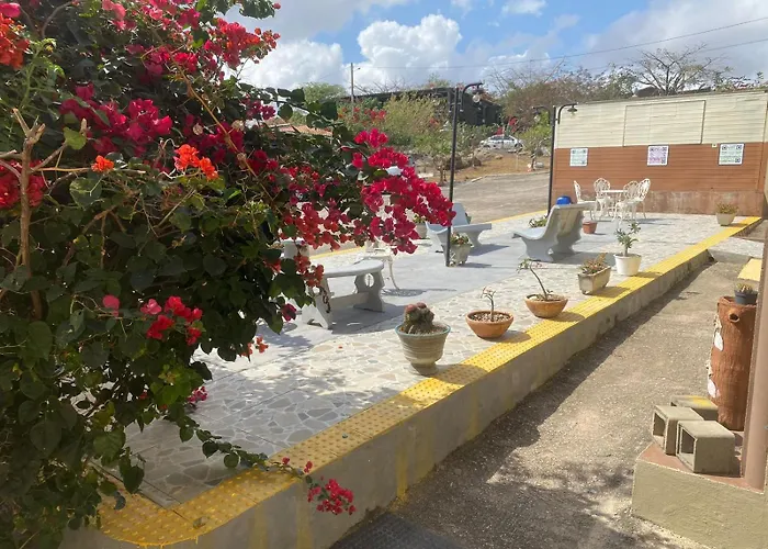 Encanto dos Pássaros
