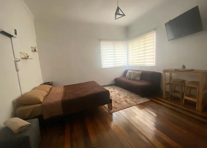 CASA ROMÁN Habitación en Providencia con áreas compartidas