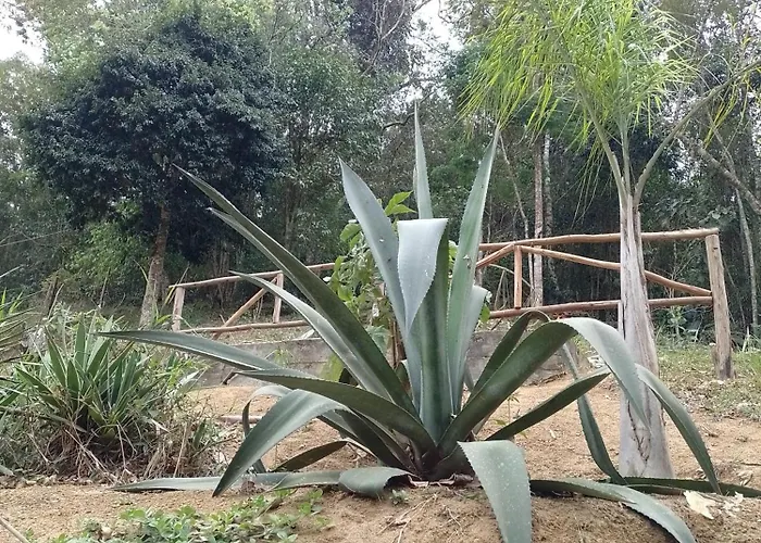 Pousadinha Vila Juçara