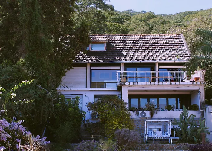 Lapacho Hostel Salta Coliving