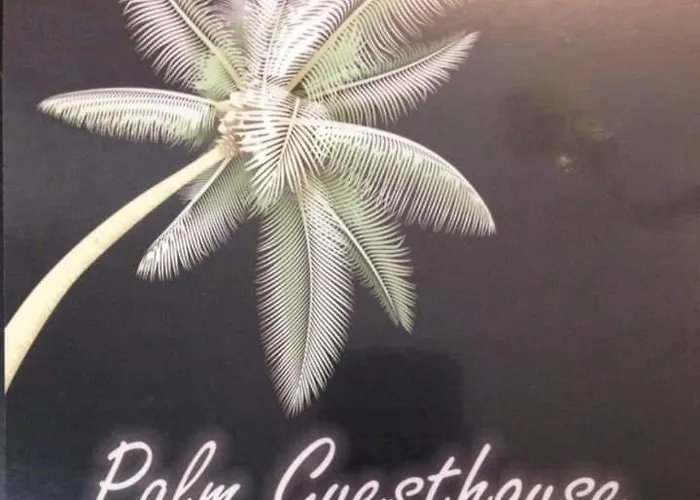 Palm Guesthouse B&B Rooms