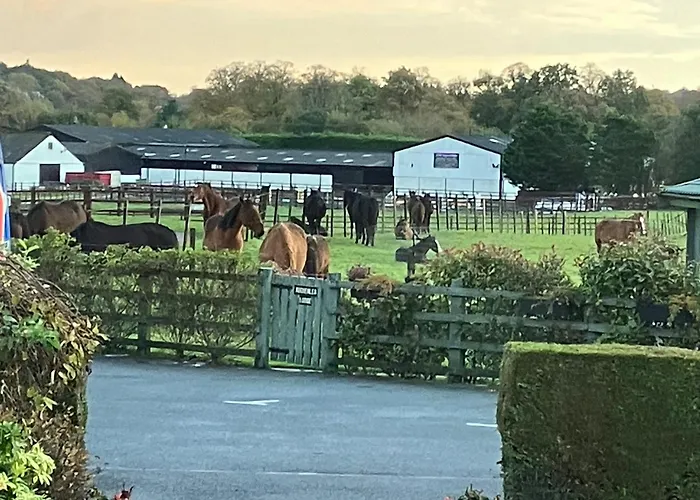 Vacation home: Auchenlea Lodges